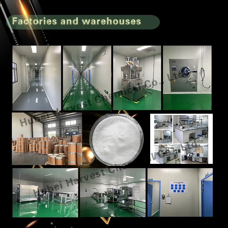 Sell Supply Pharmaceutical Intermediates Verteporfin Powder API CAS 129497-78-5